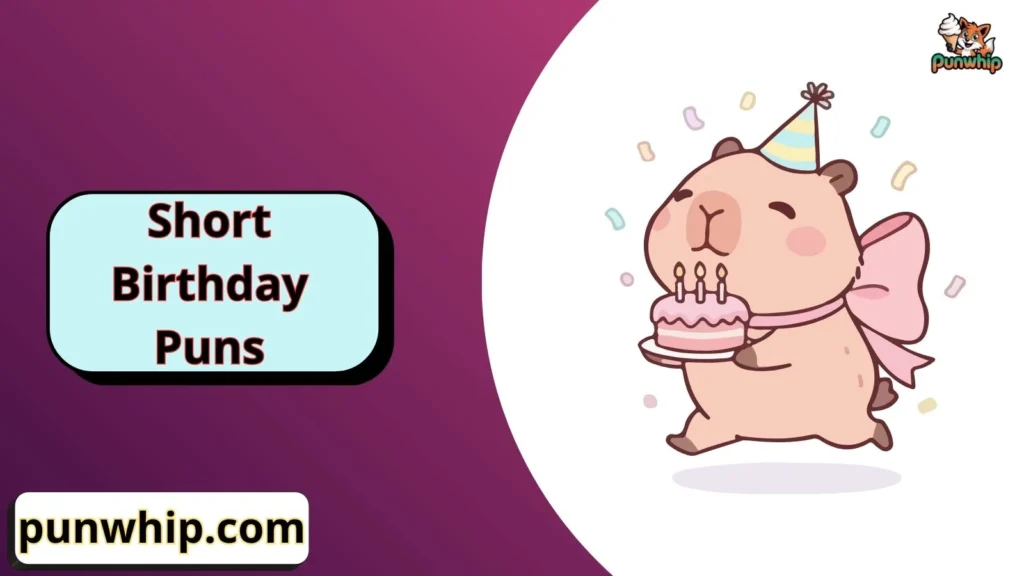 Short Birthday Puns