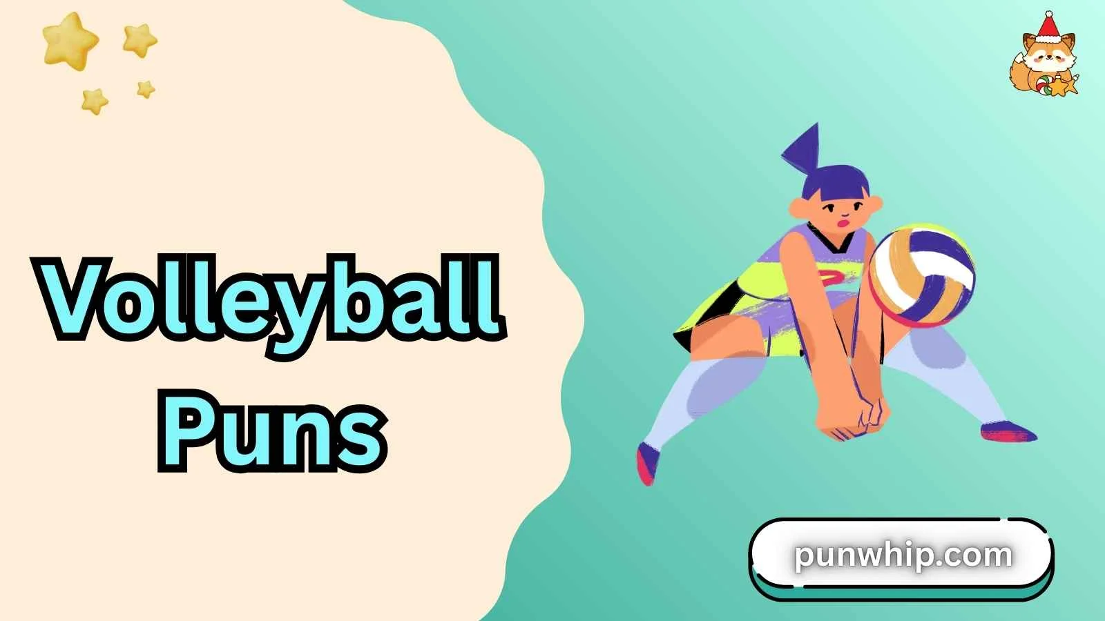 Volleyball Puns