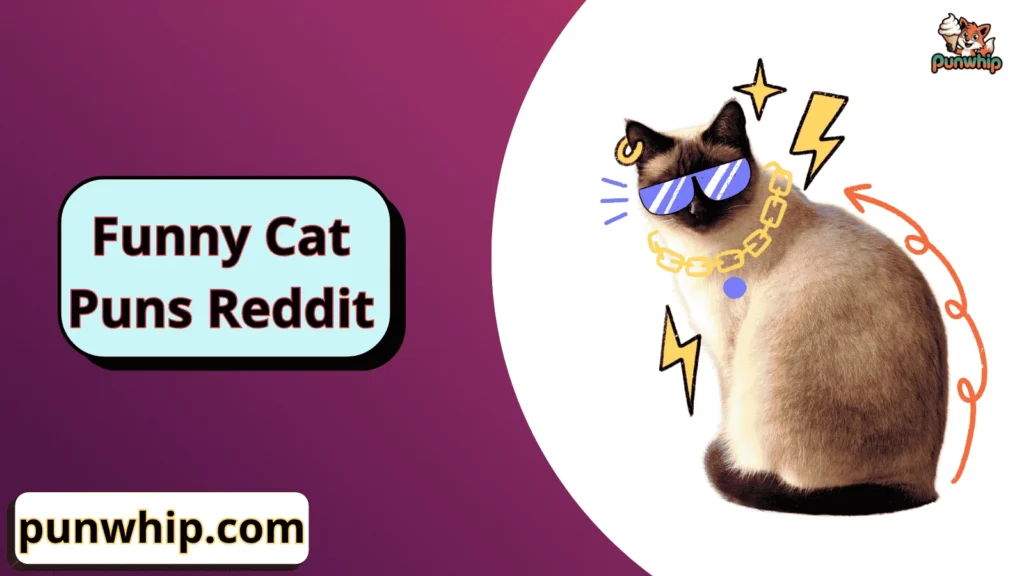 Funny Cat Puns Reddit