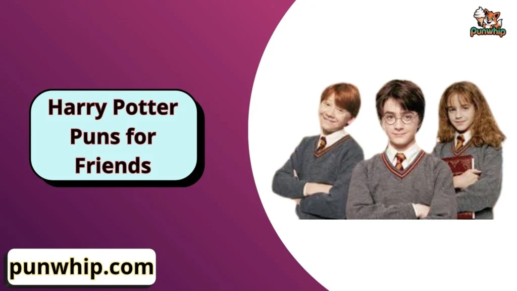Harry Potter Puns for Friends