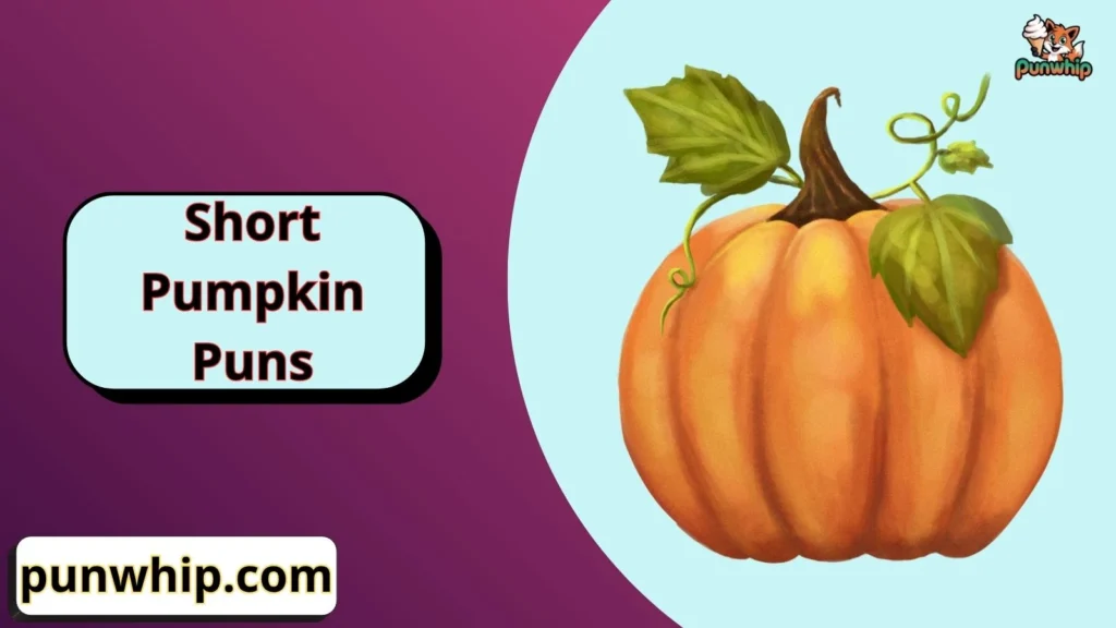 Short Pumpkin Puns