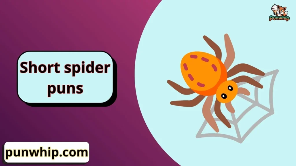 Short spider puns