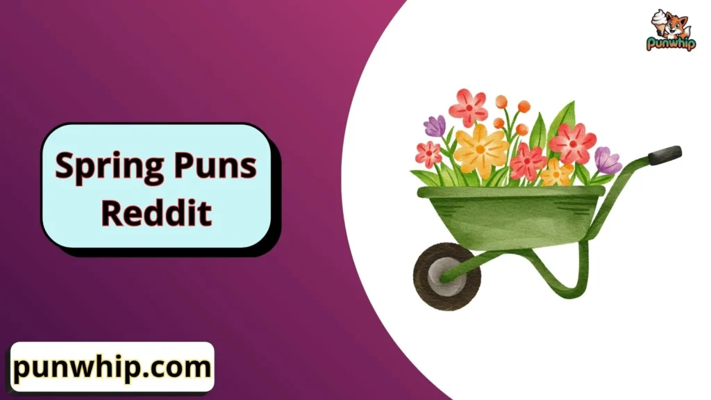 Spring Puns Reddit