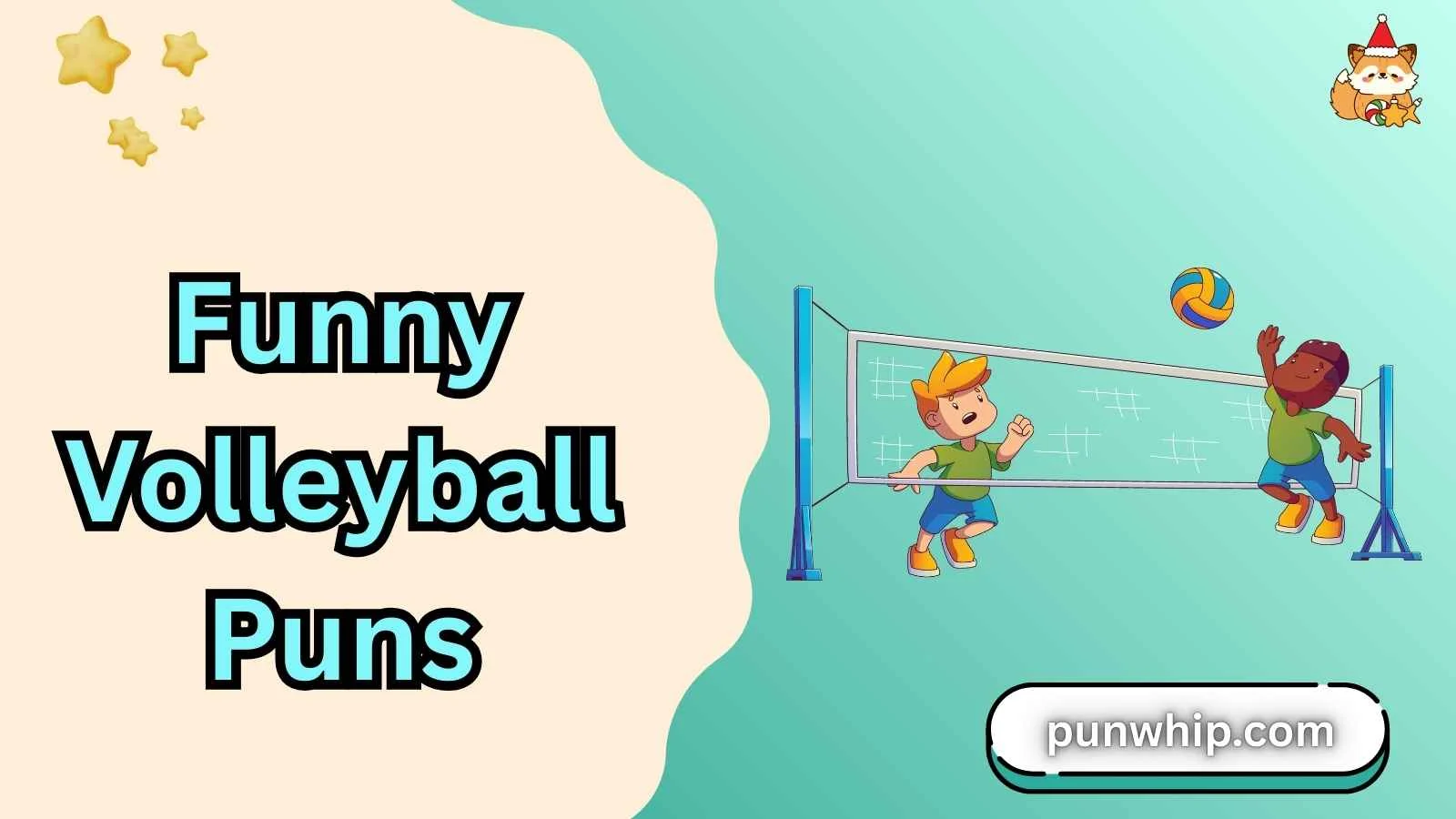 Funny Volleyball Puns