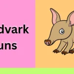 Aardvark Puns