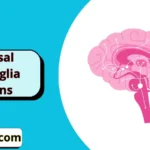 Basal Ganglia Puns