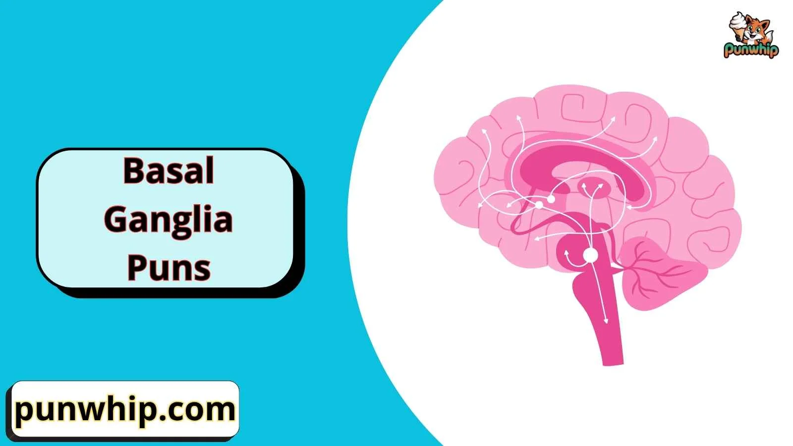 Basal Ganglia Puns