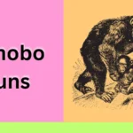 bonobo puns