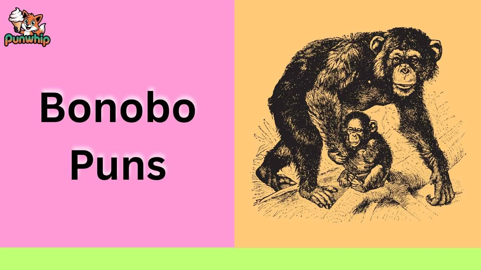 bonobo puns