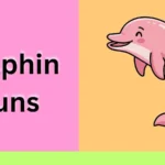 Dolphin Puns