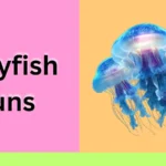 jellyfish puns