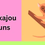 Kinkajou puns