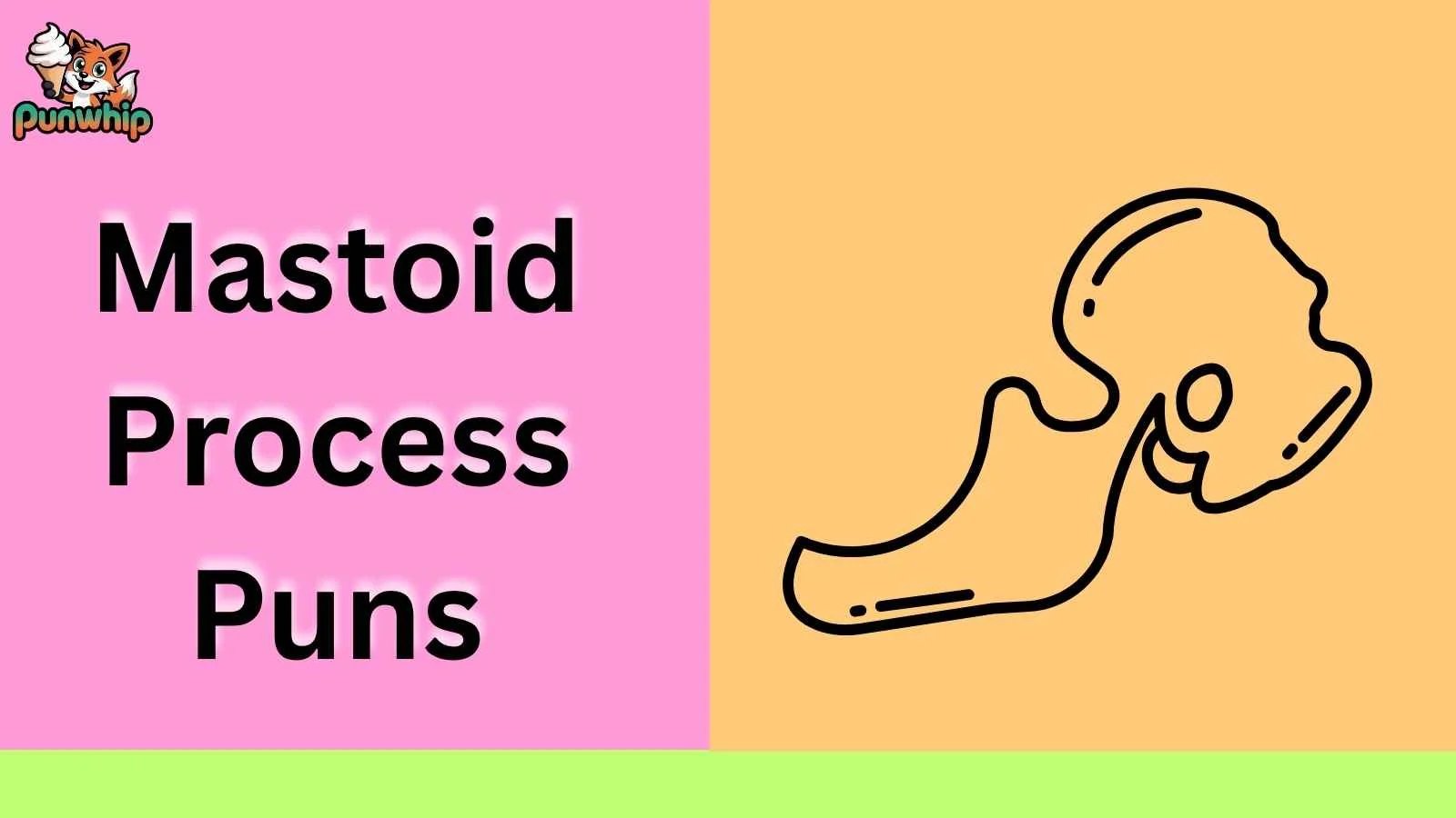 Mastoid Process Puns