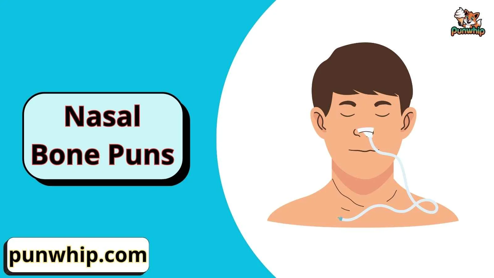 Nasal Bone Puns