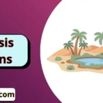 Oasis Puns