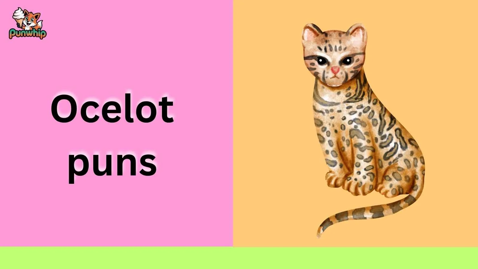 Ocelot puns