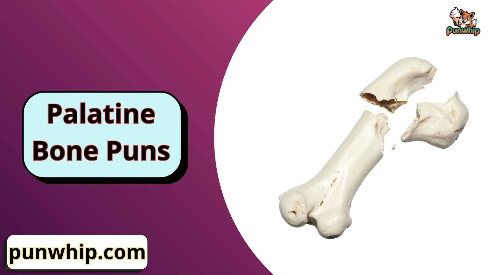 Palatine Bone Puns