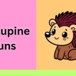 Porcupine Puns