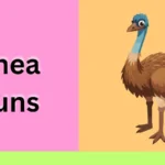 Rhea Puns