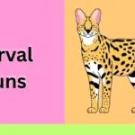 Serval Puns