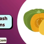 Squash Puns