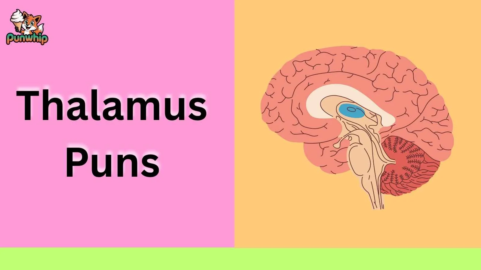 Thalamus Puns
