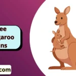 Tree Kangaroo Puns