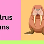 Walrus Puns