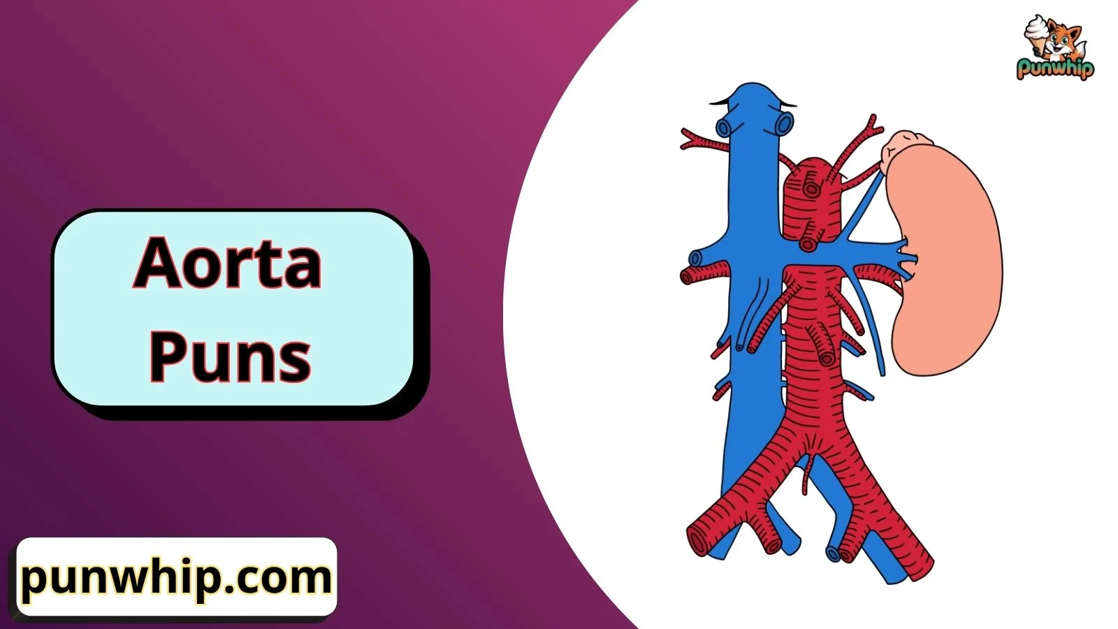 Aorta Puns