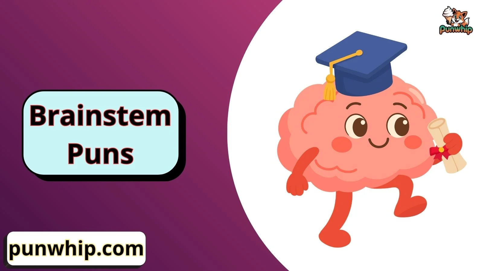 Brainstem Puns
