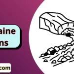 Moraine Puns