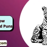 Snow Leopard Puns