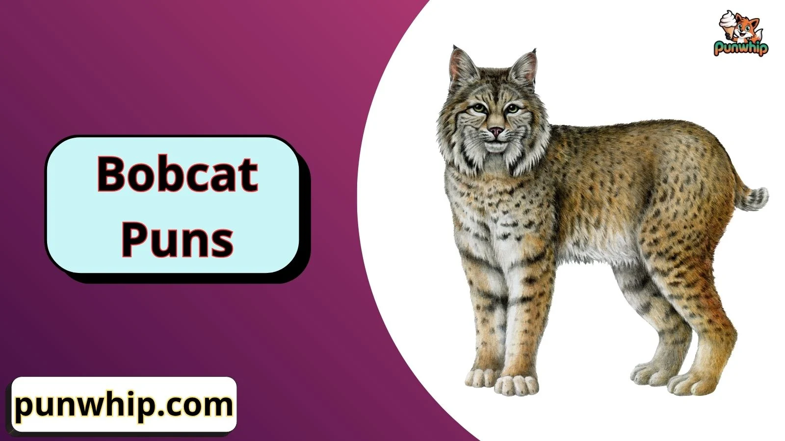 Bobcat Puns