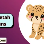 Cheetah Puns