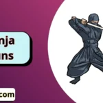 Ninja Puns