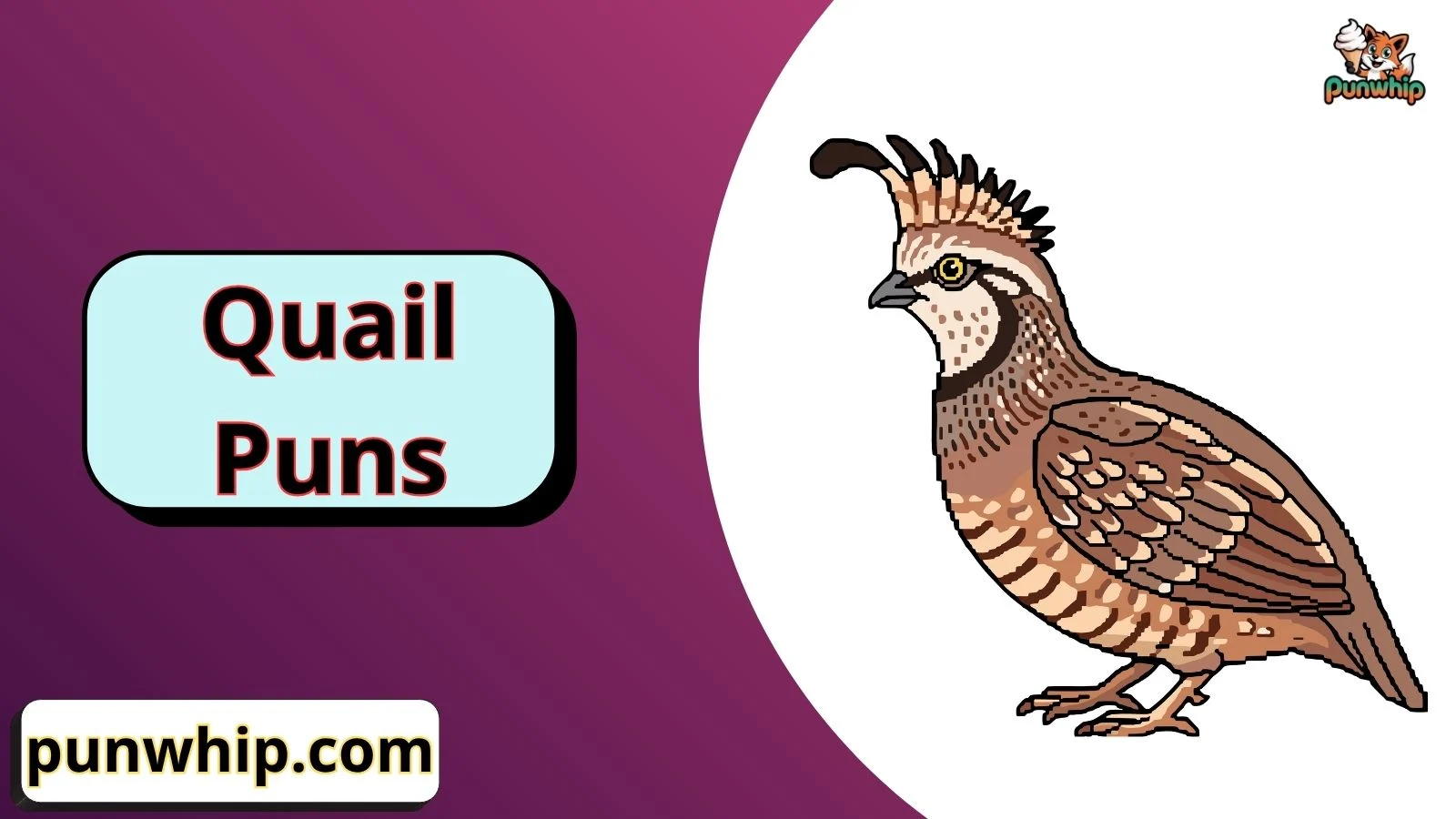Quail Puns